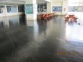 IMG_7881