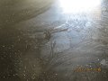 IMG_7906