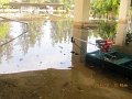 IMG_7912