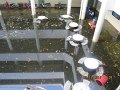 IMG_7918