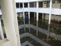 IMG_7919
