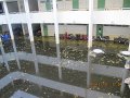 IMG_7920