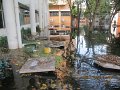 IMG_7930