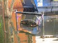 IMG_7932