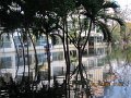 IMG_7934