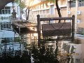 IMG_7935