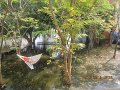 IMG_7962