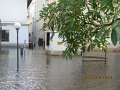 IMG_7965