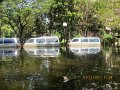 IMG_7971