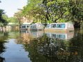 IMG_7974