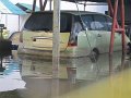 IMG_7981