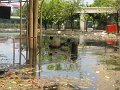 IMG_7998