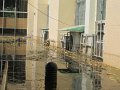 IMG_7999