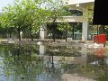 IMG_8000