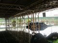 IMG_8001