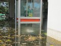 IMG_8007