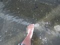IMG_8010