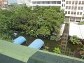 IMG_8012