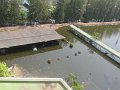 IMG_8018