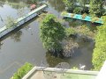 IMG_8019