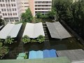 IMG_8020