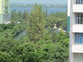 IMG_8029