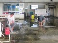 IMG_8055