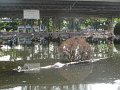 IMG_8071