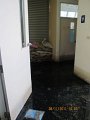 IMG_8131