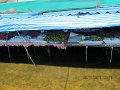 IMG_8179