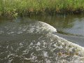IMG_8192