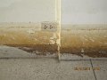 IMG_8220