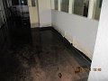 IMG_8221
