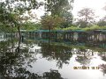 IMG_8247