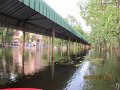 IMG_8250
