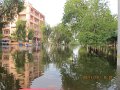 IMG_8251