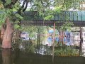 IMG_8252
