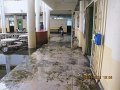 IMG_8267