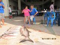 IMG_8305