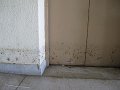 IMG_8340
