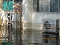 IMG_8353