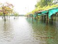 IMG_8354