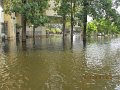 IMG_8355