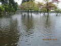 IMG_8356