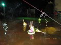 IMG_8381