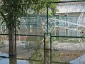 IMG_8406