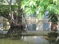 IMG_8411