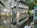 IMG_8412