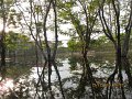 IMG_8449