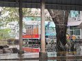 IMG_8462